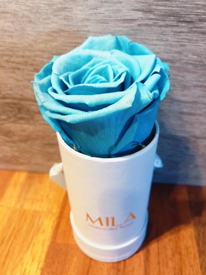 La Kaz'A Mila Hébergement de vacances Anse-Bertrand